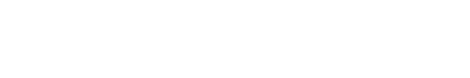 PlayFlix